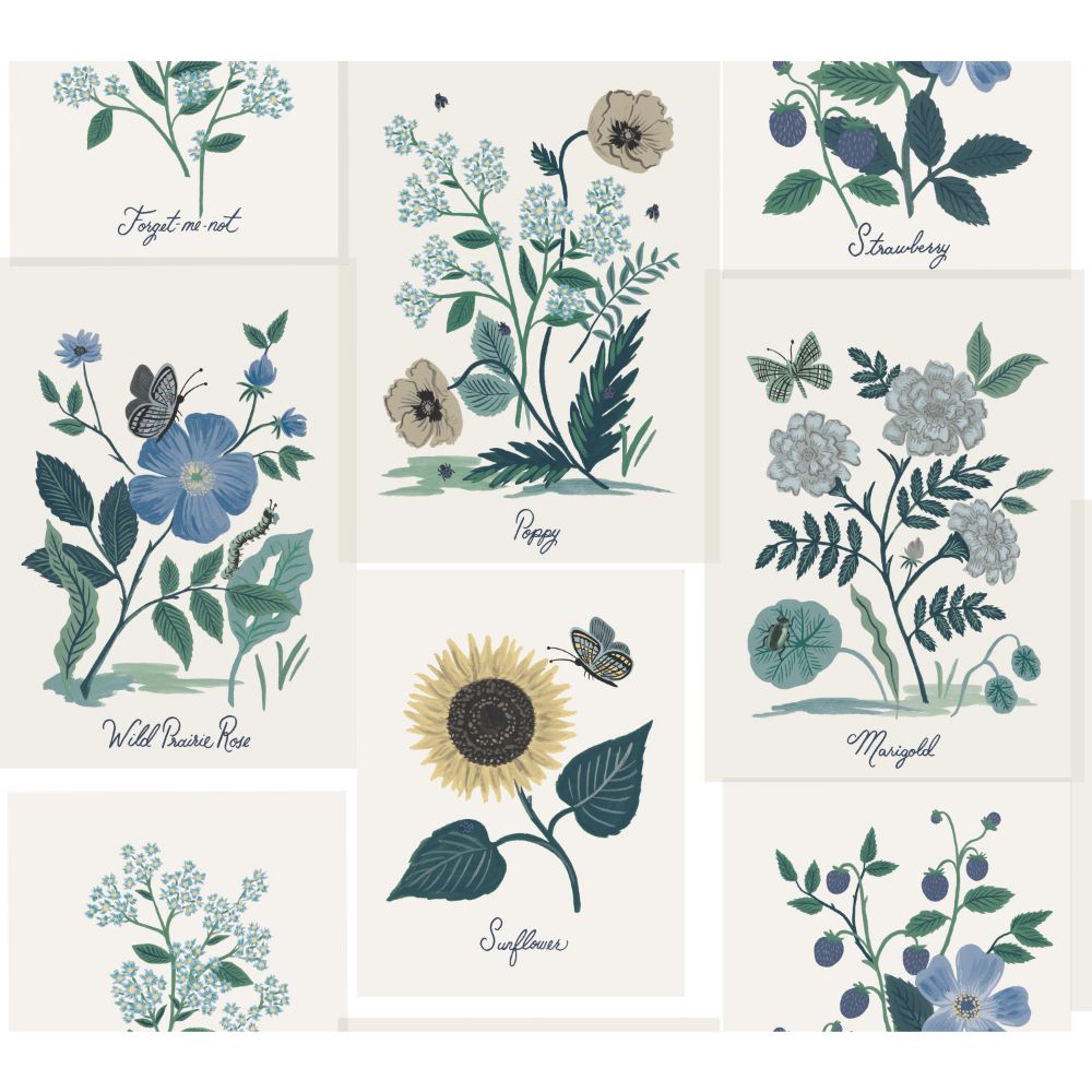 York RP7335 Rifle Paper Co. Second Edition Botanical Prints Wallpaper in White, Blue